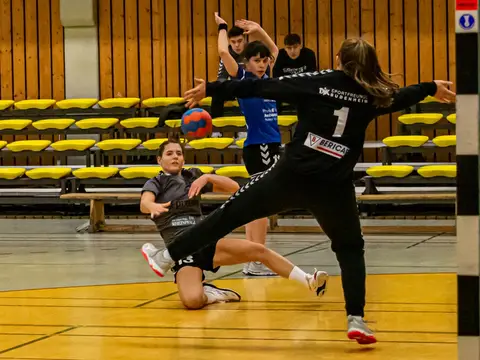 D1 - SV Budenheim 18.01.20, Foto 6 von 45
