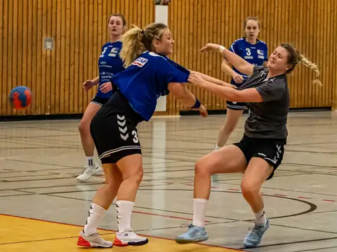 D1 - SV Budenheim 18.01.20, Foto 16 von 45