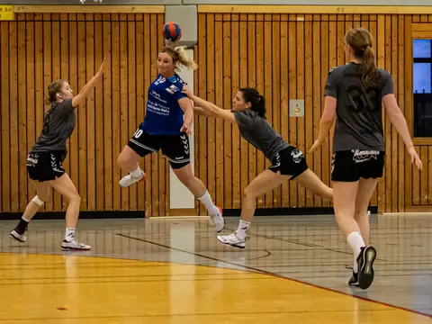 D1 - SV Budenheim 18.01.20, Foto 18 von 45