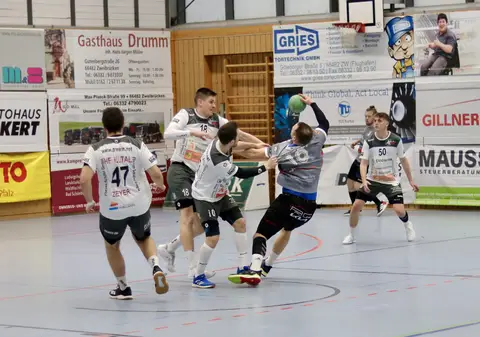 H1 - HF Illtal Zebras, Foto 3 von 44