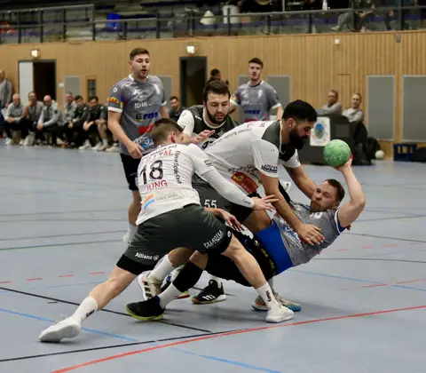H1 - HF Illtal Zebras, Foto 4 von 44