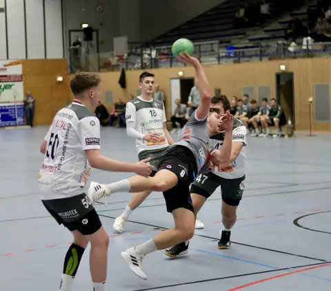 H1 - HF Illtal Zebras, Foto 6 von 44
