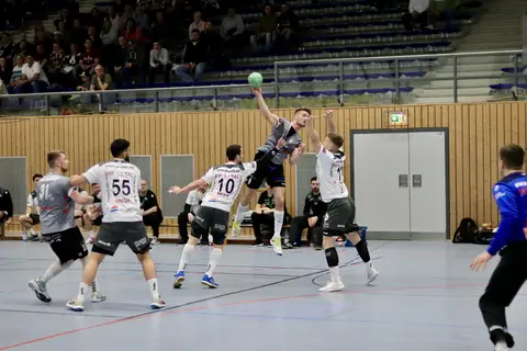 H1 - HF Illtal Zebras, Foto 8 von 44
