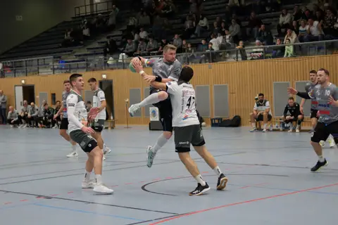 H1 - HF Illtal Zebras, Foto 11 von 44