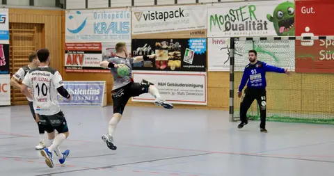 H1 - HF Illtal Zebras, Foto 38 von 44