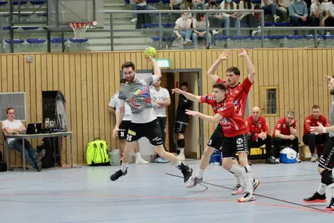 H1 - VfL Günzburg, Foto 40 von 46