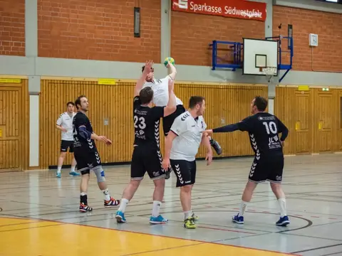 H2 - Dillingen 25.03.2018, Foto 8 von 78