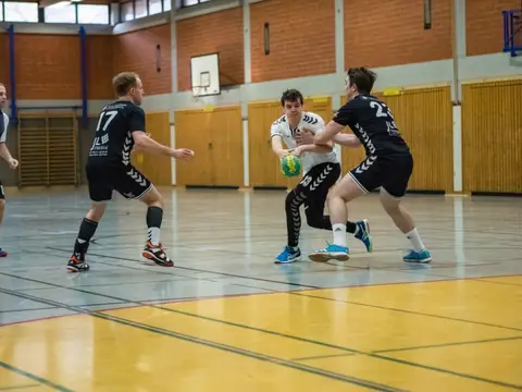 H2 - Dillingen 25.03.2018, Foto 32 von 78
